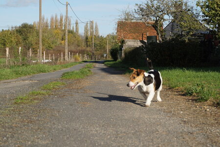 Les photos de DOUBY, DSC00163