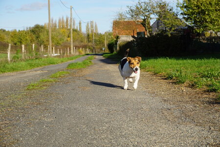 Les photos de DOUBY, DSC00164