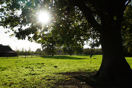 Les photos de DOUBY, DSC00169