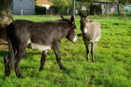 Les photos de DOUBY, DSC00174