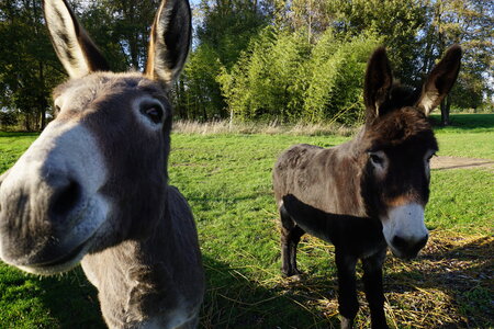 Les photos de DOUBY, DSC00188