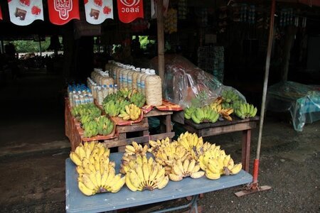 Thailande, image