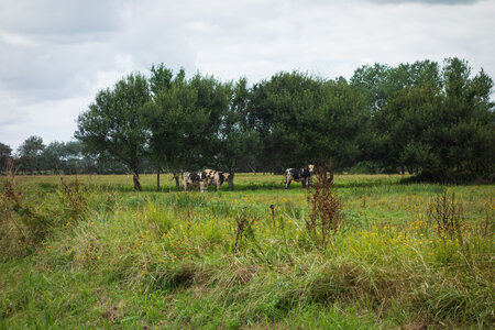 balade Vélo 2020 le long des côtes, _DSC8623