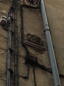 prefecture, Cours aux lions