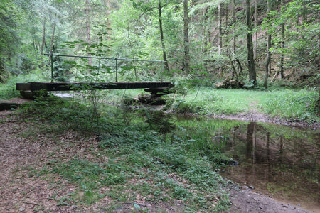 20200813-02 GR7 Ballon d'Alsace - Grancey - Beaune, 1517 Passerelle sur la Niche.