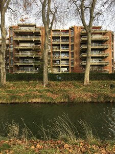 10 MED, IMG_4436