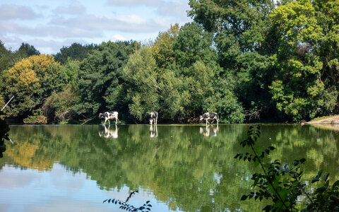 balade Vélo 2020 le long des côtes, _DSC8759