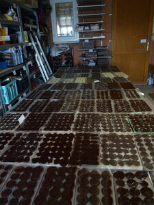 stock_chocos_2020, P1110336