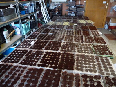 stock_chocos_2020, P1110335
