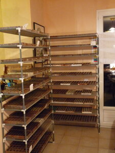 stock_chocos_2020, P1110327