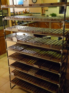stock_chocos_2020, P1110326