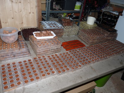 Chocolats 2019, P1110267