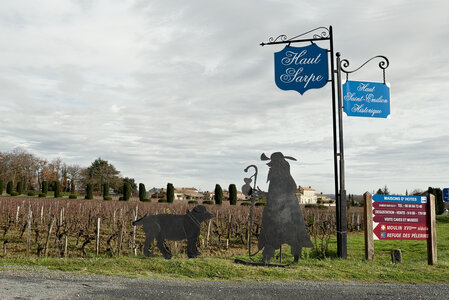 Fabien Magigue 2020, Haut Sarpe / Saint-Emilion