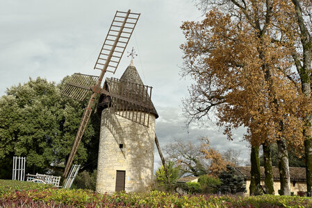 Fabien Magigue 2020, Haut Sarpe / Saint-Emilion