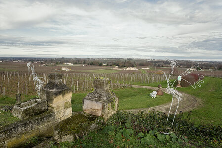 Fabien Magigue 2020, Haut Sarpe / Saint-Emilion