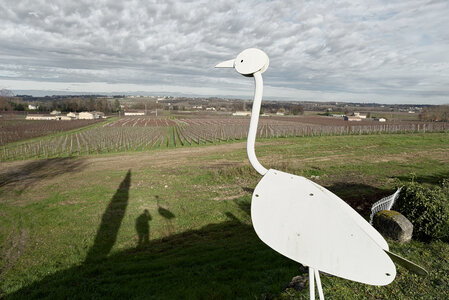 Fabien Magigue 2020, Haut Sarpe / Saint-Emilion