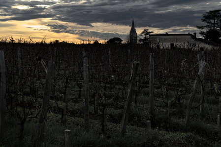 Fabien Magigue 2020, Saint-Emilion