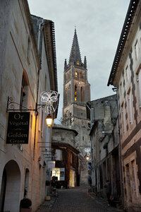 Fabien Magigue 2020, Saint-Emilion