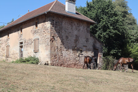 20200813-02 GR7 Ballon d'Alsace - Grancey - Beaune, 1566 Le Tolloy
