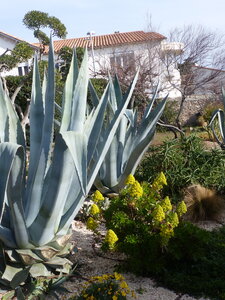 2021 01 01 Sete, 2021_01_ 01 Sete 153