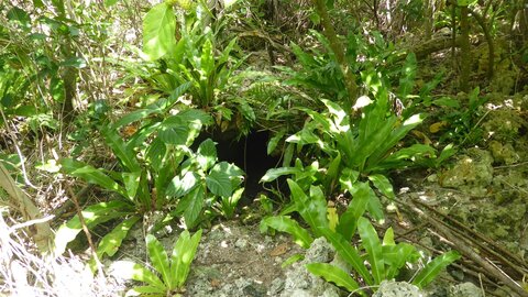 Anaa, Grotte  5 