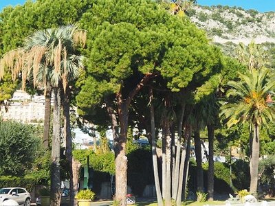 BEAULIEU LA PETITE AFRIQUE, 0027