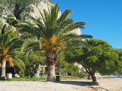 BEAULIEU LA PETITE AFRIQUE, 0046