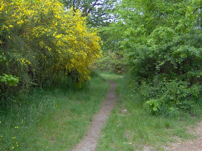 Étang du Ter (Ploemeur)<br>@copyleft <a href=https://www.le-fab-lab.com>Le Fab'Blab</a> Licence Art Libre, etang-du-ter--ploemeur-11