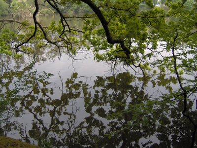 Étang du Ter (Ploemeur)<br>@copyleft <a href=https://www.le-fab-lab.com>Le Fab'Blab</a> Licence Art Libre, etang-du-ter--ploemeur-21