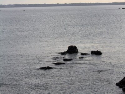 Entre Kerroch et Fort-Bloqué<br>@copyleft <a href=https://www.le-fab-lab.com>Le Fab'Blab</a> Licence Art Libre, littoral-kerrock-fort-bloque-15