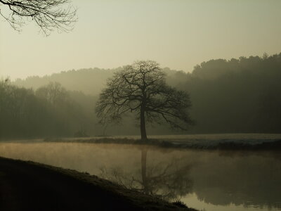 Josselin, canal de Nantes à Brest<br>@copyleft <a href=https://www.le-fab-lab.com>Le Fab'Blab</a> Licence Art Libre, canal-nantes-brest-arbre-sombre-1