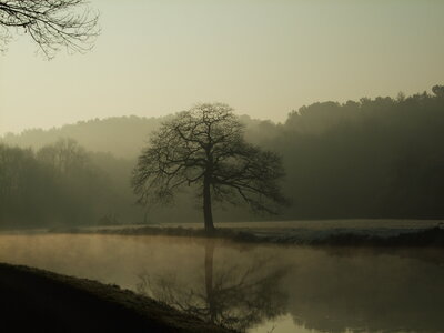 Josselin, canal de Nantes à Brest<br>@copyleft <a href=https://www.le-fab-lab.com>Le Fab'Blab</a> Licence Art Libre, canal-nantes-brest-arbre-sombre-2