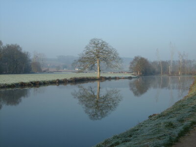 Josselin, canal de Nantes à Brest<br>@copyleft <a href=https://www.le-fab-lab.com>Le Fab'Blab</a> Licence Art Libre, josselin-canal-nantes-brest-arbre5