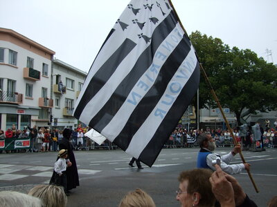 Grande parade festival Lorient 2008<br>@copyleft <a href=https://www.le-fab-lab.com>Le Fab'Blab</a> Licence Art Libre, cercle-korollerien-ar-skorv-3