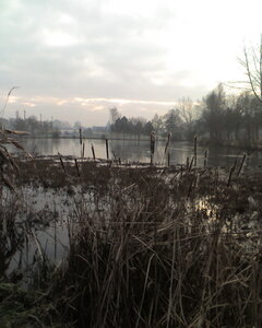 Pont-Scorff hiver 2009<br>@copyleft <a href=https://www.le-fab-lab.com>Le Fab'Blab</a> Licence Art Libre, etang-pont-scorff
