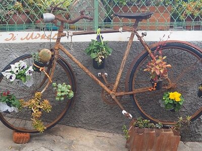 BORDIGHERA JANVIER 2021, 0022