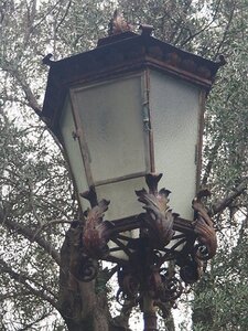 BORDIGHERA JANVIER 2021, 0028