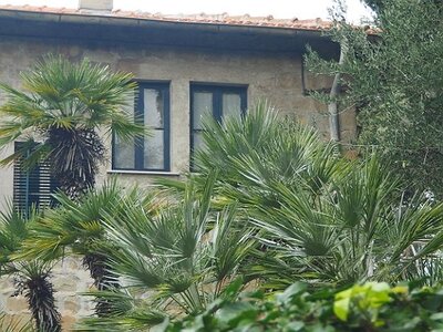 BORDIGHERA JANVIER 2021, 0029