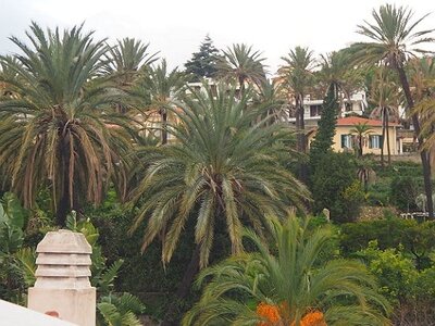BORDIGHERA JANVIER 2021, 0078