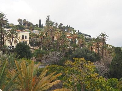 BORDIGHERA JANVIER 2021, 0080