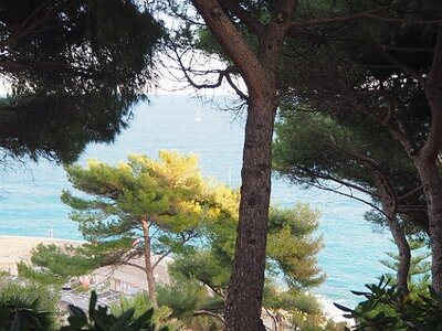 BORDIGHERA JANVIER 2021, 0101