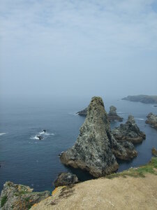 Belle-Île-en-Mer, mai 2009<br>@copyleft <a href=https://www.le-fab-lab.com>Le Fab'Blab</a> Licence Art Libre, aiguilles-de-port-coton04