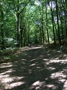 Paimpont 2009<br>@copyleft <a href=https://www.le-fab-lab.com>Le Fab'Blab</a> Licence Art Libre, paimpont-foret-broceliande-05