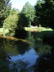 Paimpont 2009<br>@copyleft <a href=https://www.le-fab-lab.com>Le Fab'Blab</a> Licence Art Libre, paimpont-jardin-de-la-grotte