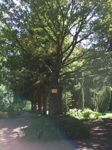 Paimpont 2009<br>@copyleft <a href=https://www.le-fab-lab.com>Le Fab'Blab</a> Licence Art Libre, paimpont-jardin-de-la-grotte-st-judicael