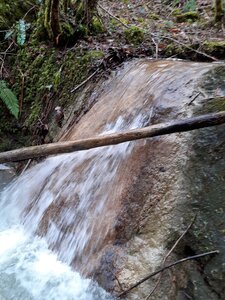 2021-01-16-RuisseauAngeles, Angeles5