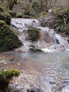 2021-01-16-RuisseauAngeles, Angeles09