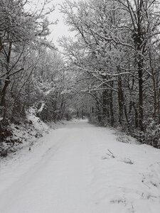 Neige-2021-01-10-Dimanche, Montjaimes-2020-01-10-1