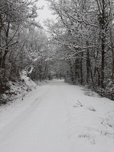 Neige-2021-01-10-Dimanche, Montjaimes-2020-01-10-4