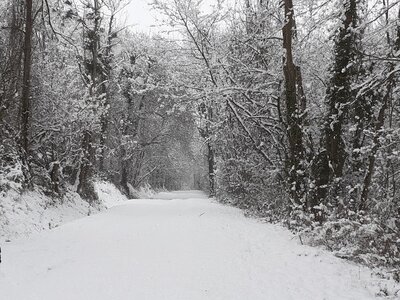 Neige-2021-01-10-Dimanche, Montjaimes-2020-01-10-6